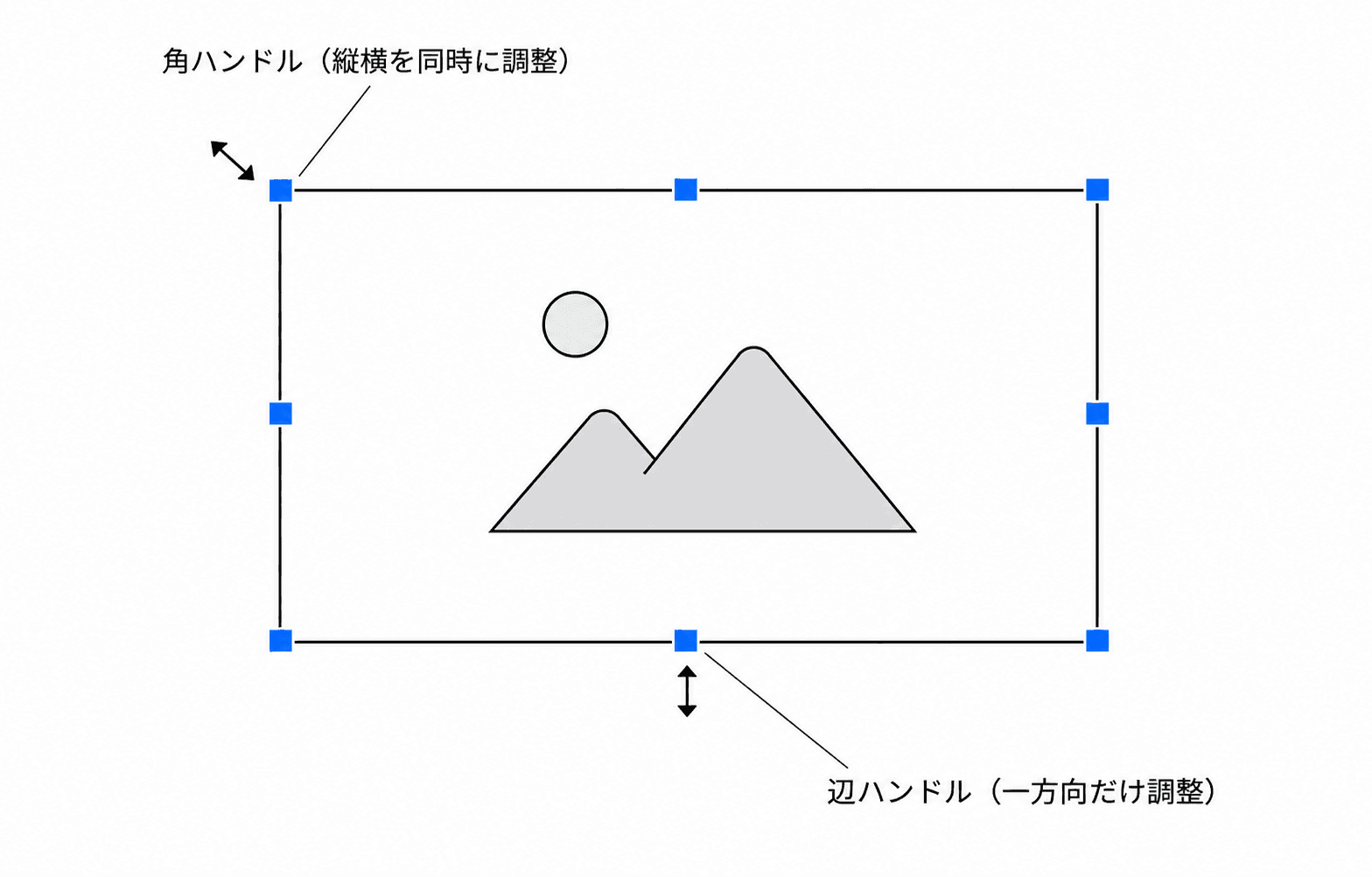 トリミング枠の8つのハンドル — 4つの角ハンドルと4つの辺ハンドルの位置と機能