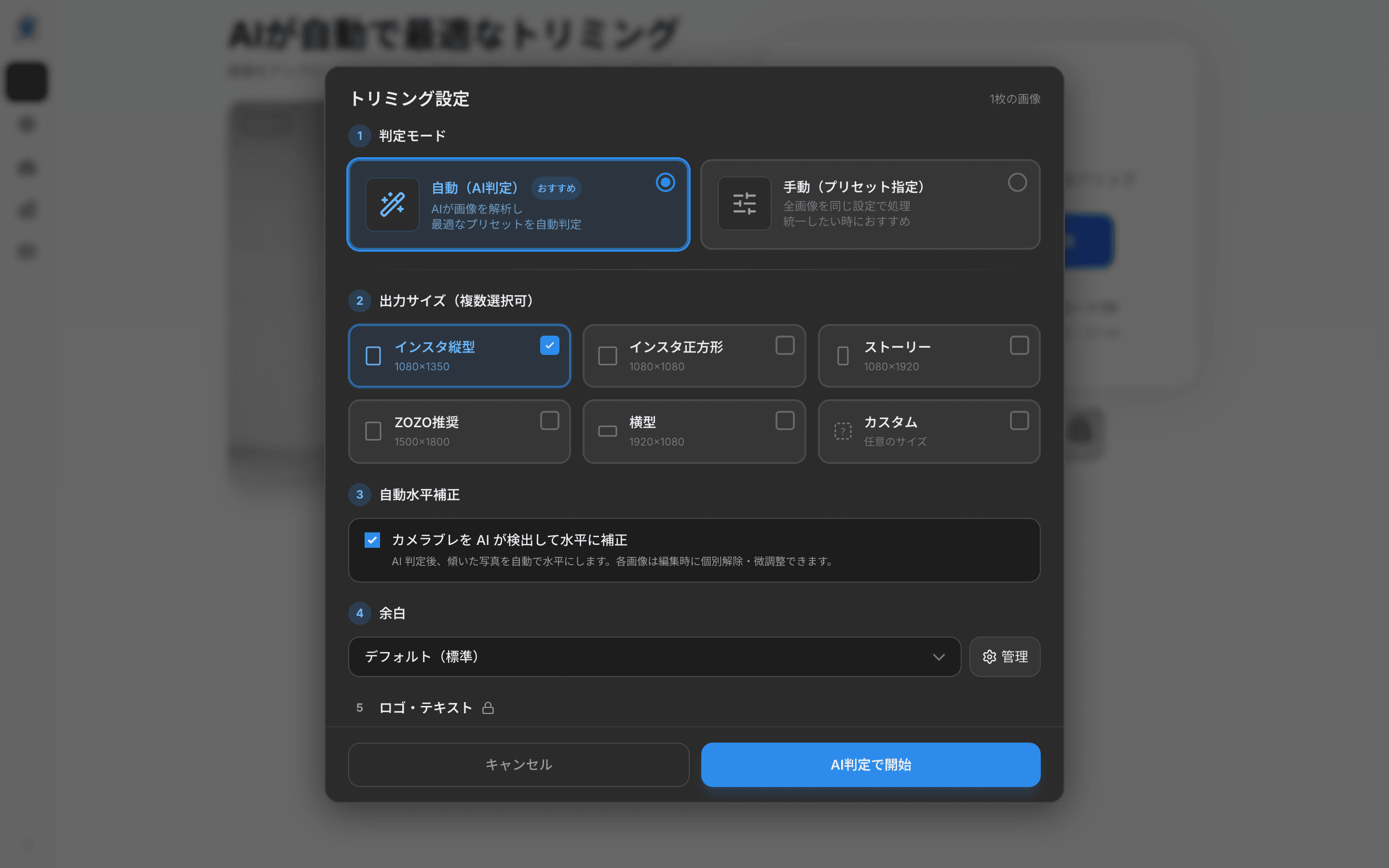 初期設定モーダルの「自動水平補正」セクション — 「カメラブレを AI が検出して水平に補正」チェックボックス